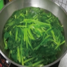 少吃就可以減肥？